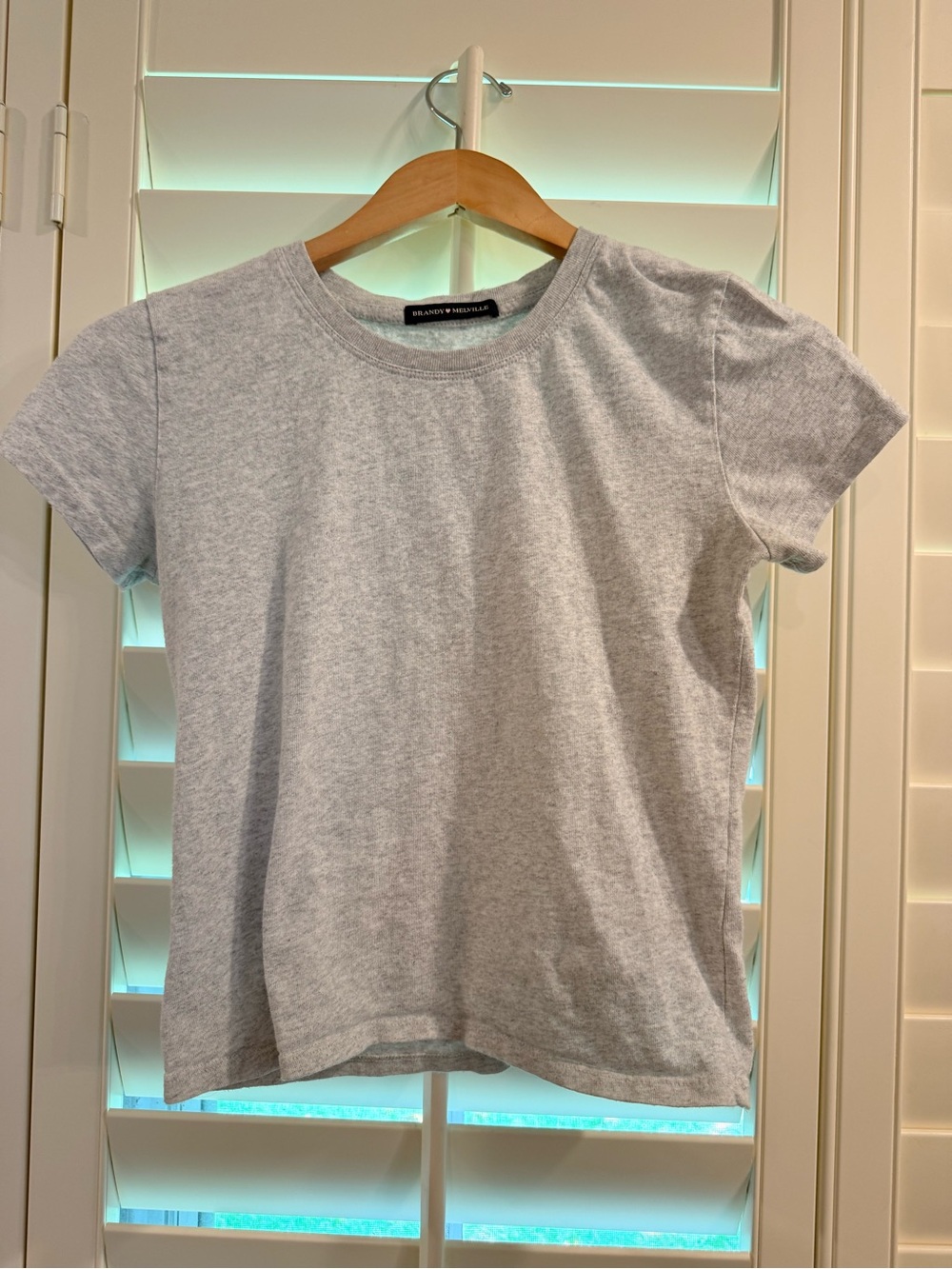 Brandy Melville Light Gray Crewneck Short Sleeve Tee